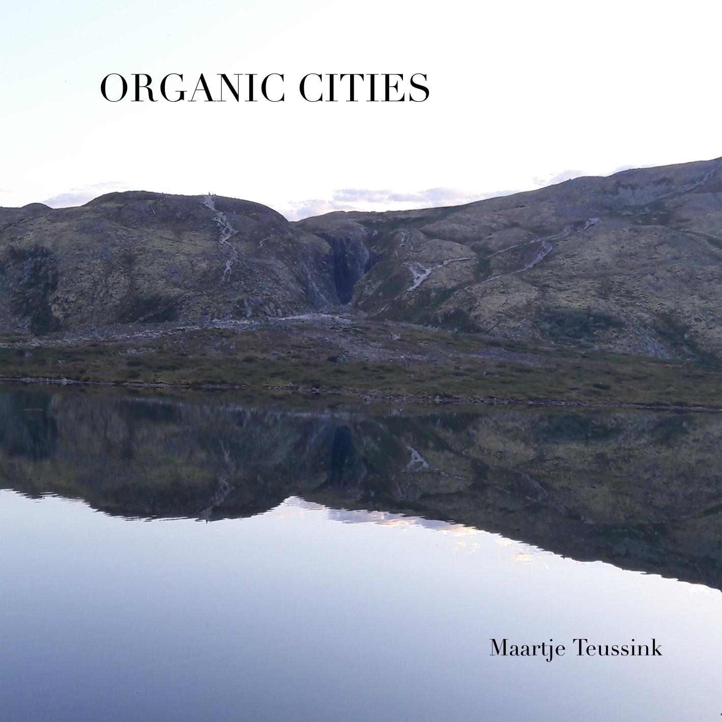 Artwork Organic Cities